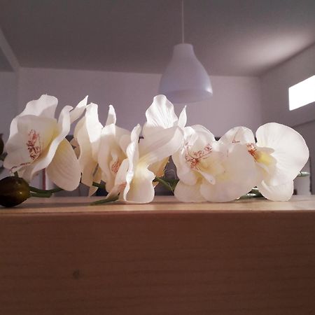 Sadinahome เซตุบาล ภายนอก รูปภาพ