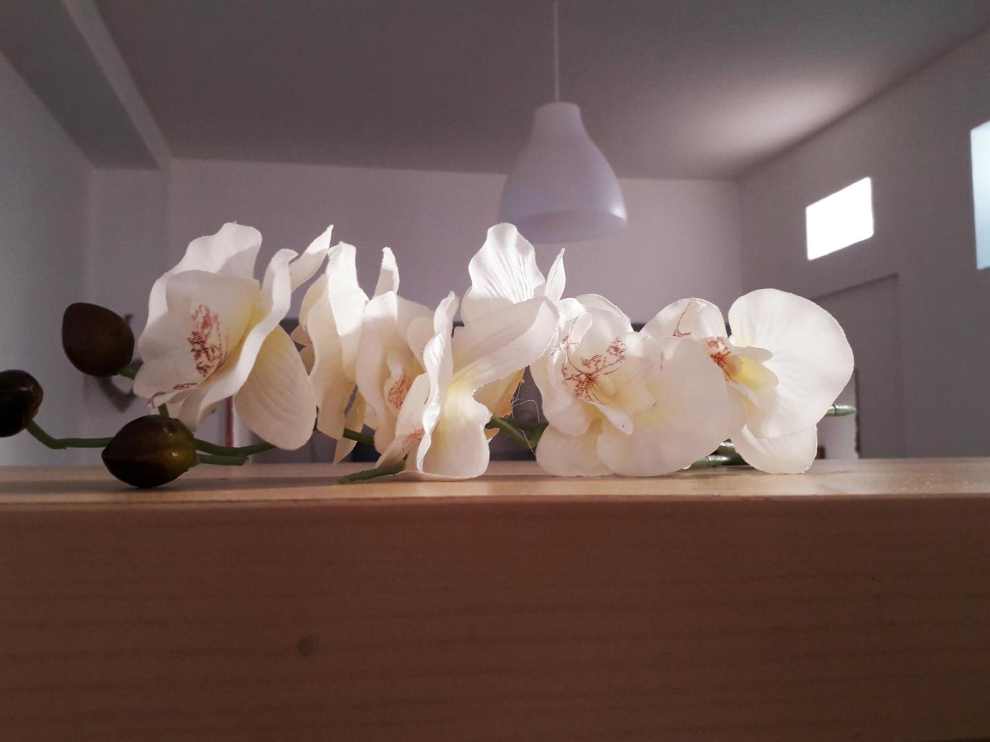 Sadinahome เซตุบาล ภายนอก รูปภาพ